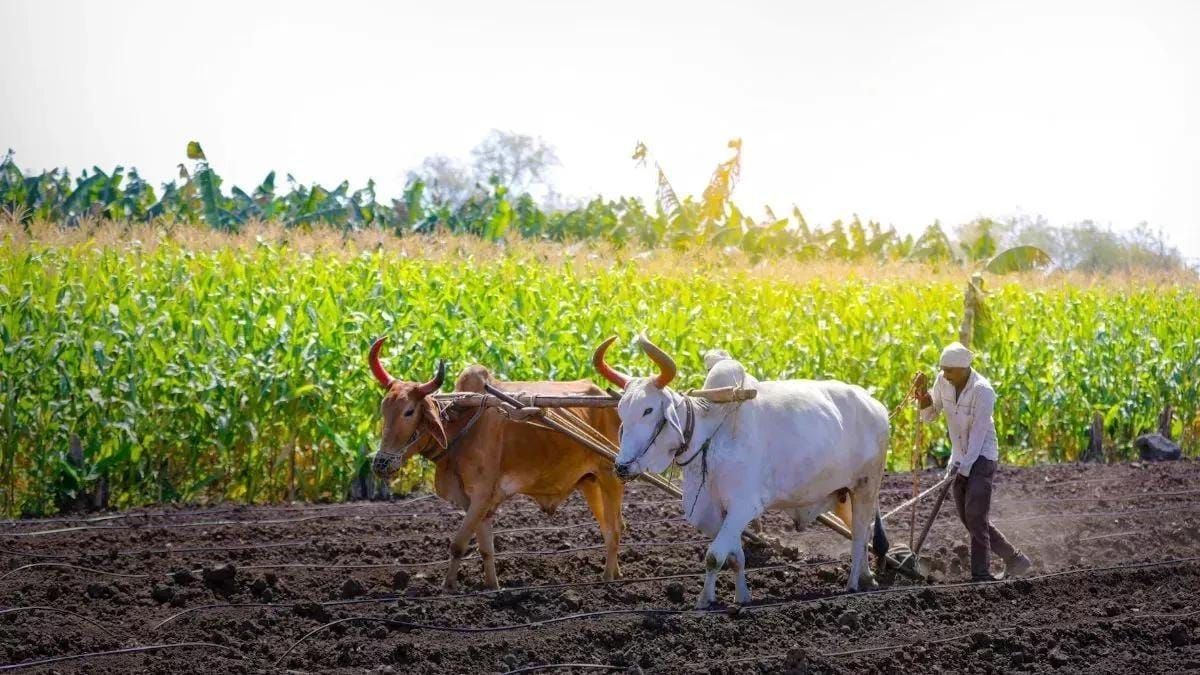 કિસાન લોન